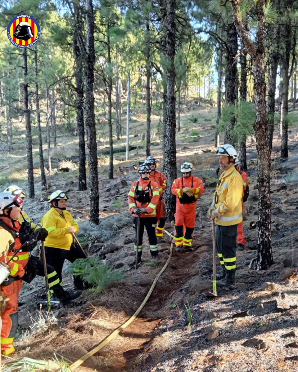La unit forestal <a href="/BombersValencia/">Bombers Consorci VLC</a> ha participat en Gran Canaria a 1 curs avançat de maneig de foc tècnic. 
Ús del foc com a eina d’extinció en #IIFF i analitzant les possibilitats en prevenció silvícola 
<a href="/GranCanaria_M_A/">Gran Canaria Medio Ambiente</a>  <a href="/emergencias_gc/">Emergenciasgc</a> <a href="/FedericoGrillo4/">Federico Grillo</a>
 bit.ly/3ixqPgR