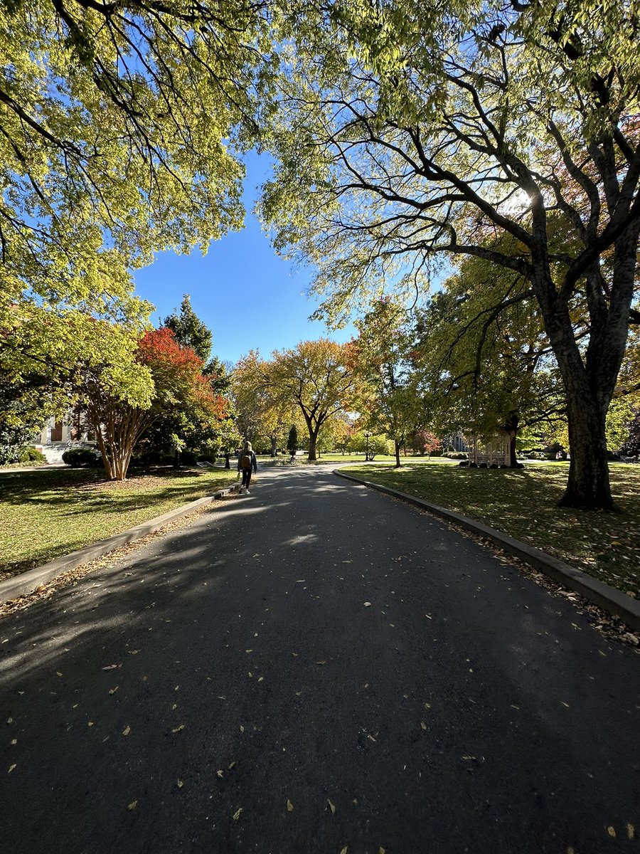 katieterborg's tweet photo. I might be biased but @BelmontUniv has the prettiest campus ever!! It’s one of the many reasons I love living on campus. The fall colors especially around here are unmatched! 😍😍😍 #PRBynum0123F @TLPBynum https://t.co/CNVF399HFr