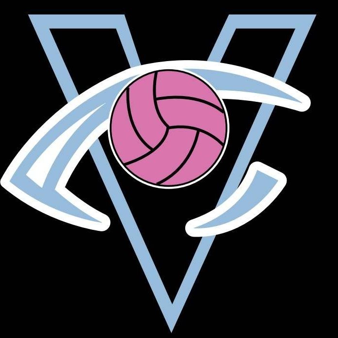 Vision Elite Volleyball (@visionelitevb) on Twitter photo 