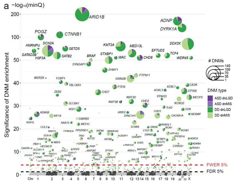 Foundation for ARID1B Research (FAR) tweet media