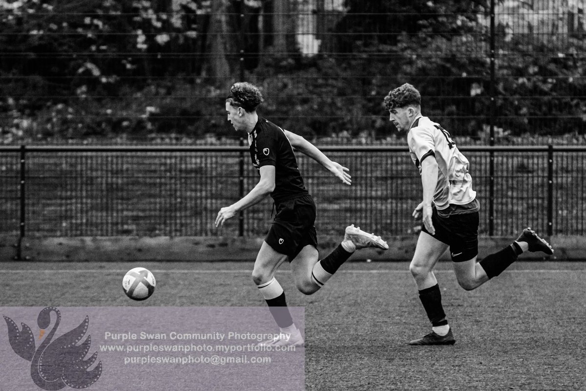 Purple Swan Photography tweet media