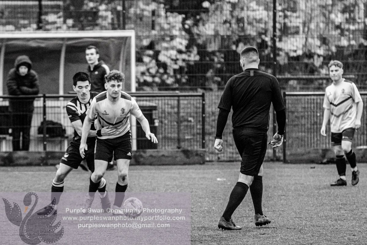 Purple Swan Photography tweet media