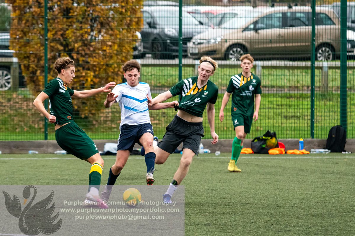 Purple Swan Photography tweet media