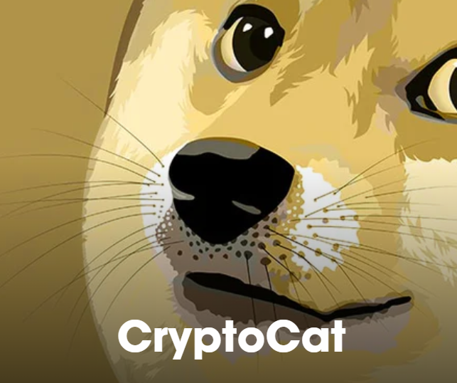 CryptoCat_Store's tweet image. Alright it's time to spill the beans...
After more than a year of grinding and working in the dark, we're almost ready to launch - starting with a small #Dogecoin product &amp;amp; merch collection for the fam. #dogefam
Get ready to share the love &amp;amp; #DoOnlyGoodEveryday