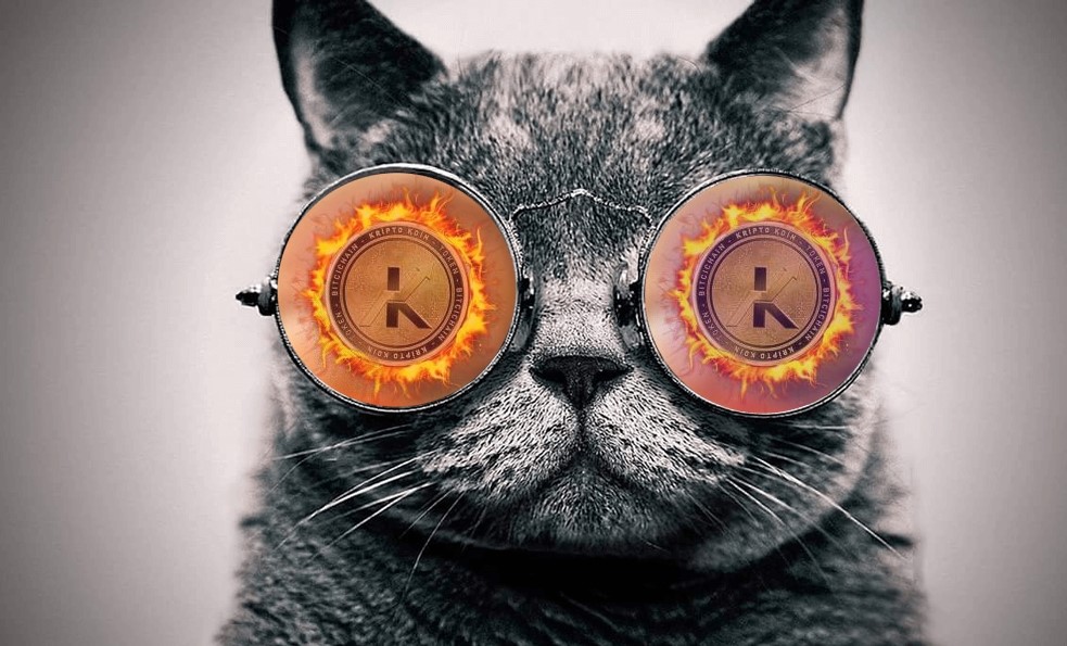 <a href="/kriptokoin_en/">Kriptokoin Global</a> <a href="/HuobiGlobal/">火币HTX</a> <a href="/bitcicomglobal/">Bitci Exchange</a> Antes das listagens, a comunidade global se reúne em huobi.KriptoKoin detentores globais estão prontos.
<a href="/HuobiGlobal/">火币HTX</a>
@MEXC_Global 
<a href="/kucoincom/">KuCoin</a> 
@gate_io 
<a href="/binance/">Binance</a> 
<a href="/okx/">OKX</a> 
<a href="/BitciBrasil/">Bitci Brasil</a>
<a href="/MercadoBitcoin/">Mercado Bitcoin</a>

#FIFAWorldCup2022 Alisson #BRAKOR