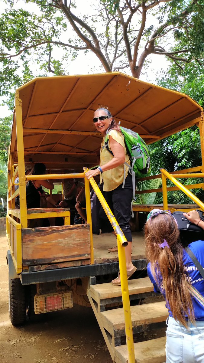 Steve Cordes tweet media