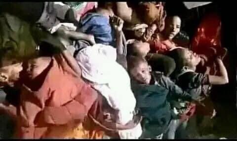 SelassieI24's tweet photo. ዛሬም...

#የአማራ ህዝቤ ደም በተረገመችው የደም ምድር #ወለጋ በከንቱ እየፈስስ ነው‼️

የደም እምባ በ,
ወለጋ
ወለጋ
ወለጋ
ወለጋ
ወለጋ, አንቺ ክፉ ያዉሬ መንጋ
         ፍትህ ይመጣል ከታላቁ #ጌታ‼️
ፍትህ
ፍትህ
ፍትህ
ለውዱ ህዝቤ #ለአማራ #ለአማራ‼️‼️❗️ https://t.co/D6pZ50DUBU