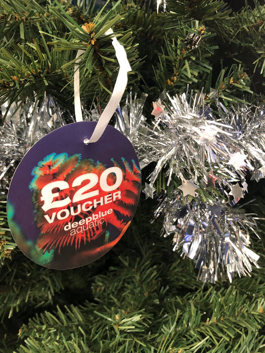 deepblueaquatic's tweet image. Gift vouchers now in stock - £10, £20 and £50. Perfect gift for that special fish keeper #giftvoucher #xmas #hemel #tropicalfish #saltwater