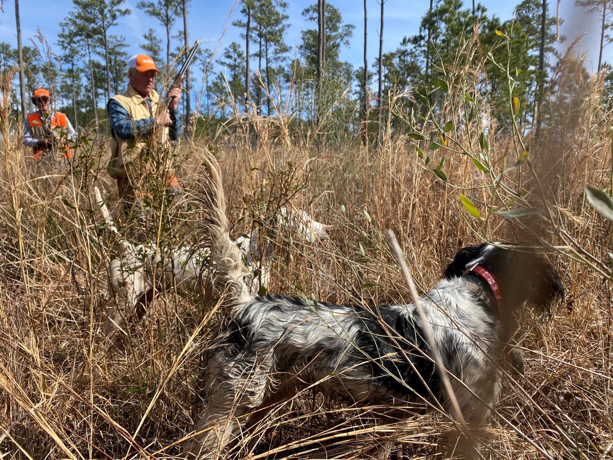 joinccanc's tweet photo. Time is running out to purchase your tickets for six chances to win in the CCA NC Ultimate Sportsman Raffle! https://t.co/gkjCytWgoy https://t.co/SqwHiCgm0I