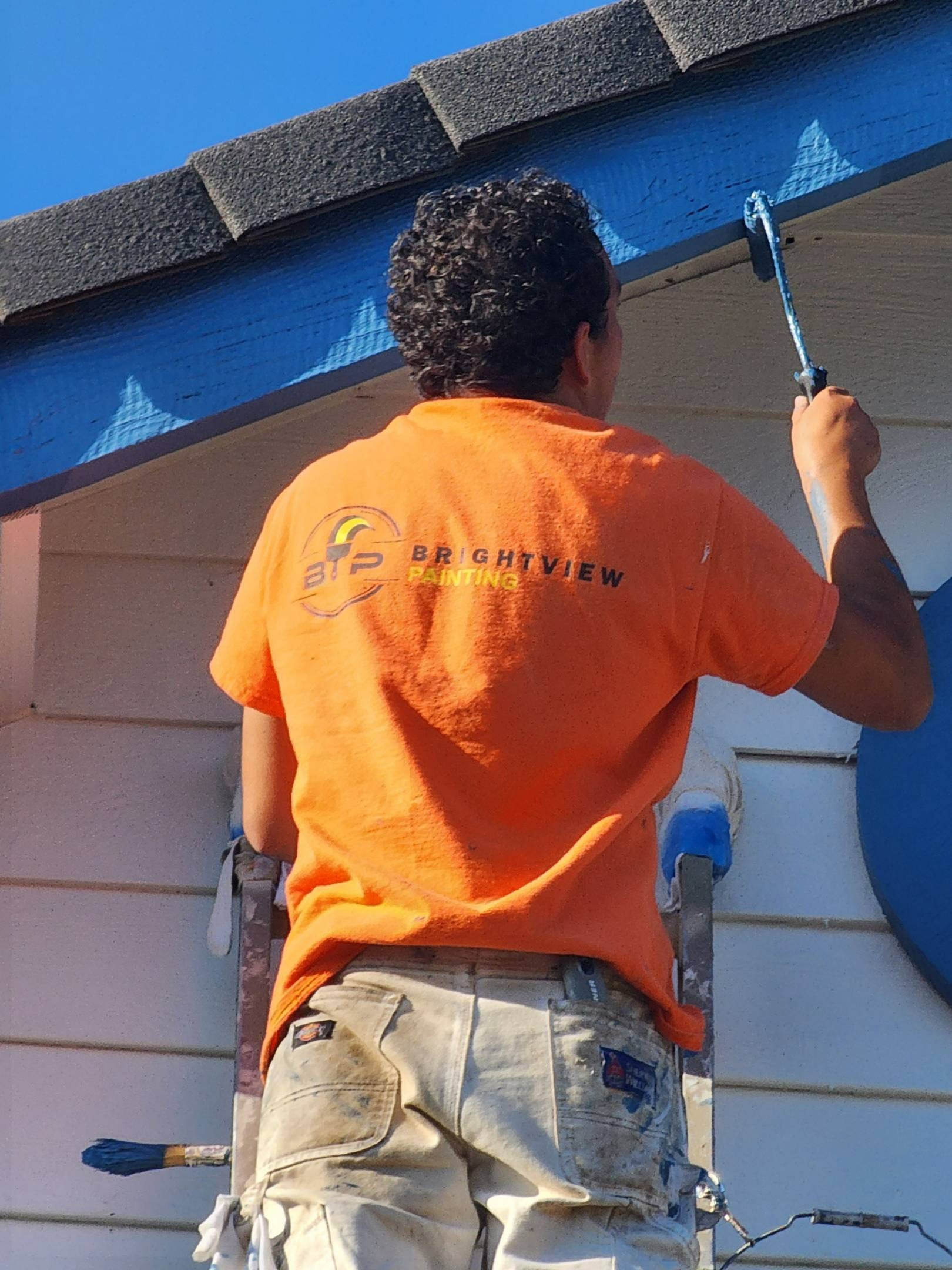 BrightView Painting (BrightViewPain1) / Twitter