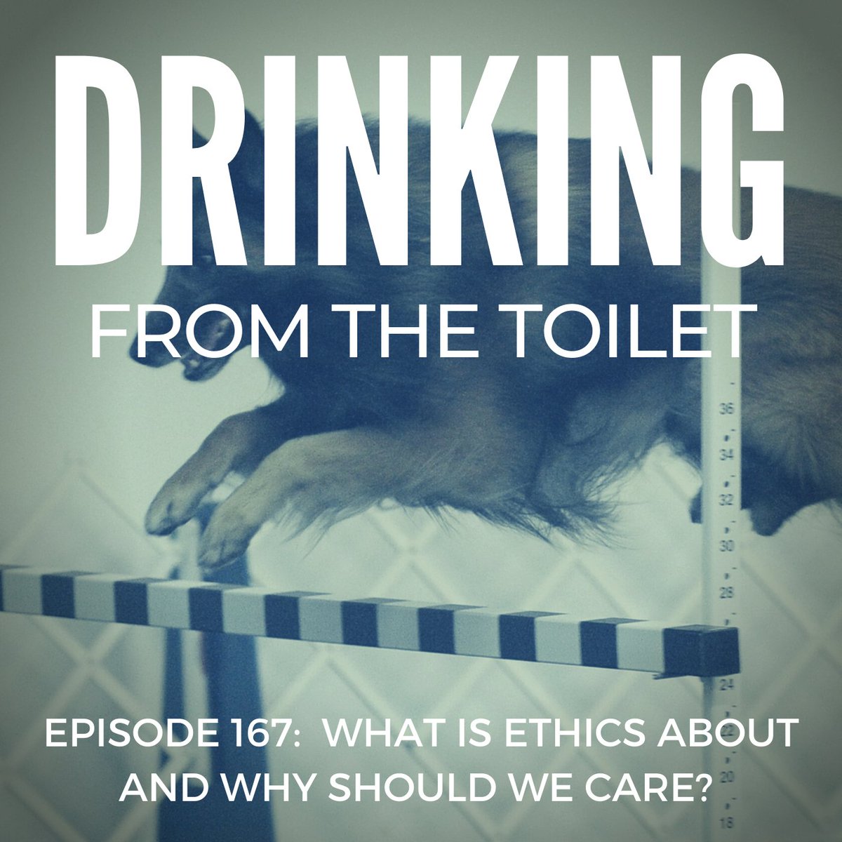 Tomharri's tweet photo. Happy to join with podcaster Hannah Brannigan on 'Drinking from the Toilet' recently to talk about animals, training and ethics (and some law too!) #animalissues #animallaw 
https://t.co/6wO3Efso0e https://t.co/gWX4CkdAkr