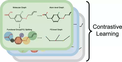 JCIM_JCTC's tweet image. ReLMole: Molecular Representation Learning Based on Two-Level Graph Similarities #GraphNeuralNetworks #drugdesign 
pubs.acs.org/doi/10.1021/ac… 
#current_issue #JCIM #MachineLearning #DeepLearning