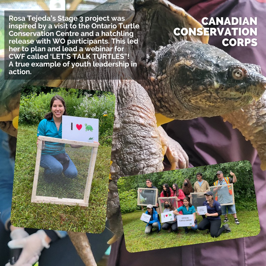 CWF_FCF's tweet photo. It’s International Volunteer Day! 🎊 Curious to know what our #CanadianConservationCorps &amp; #WILDOutside participants do to make a difference? Check out a few of their incredible projects! 🌂🐢🌳

#DoMoreForWildlife #IVD2022 #InternationalVolunteerDay #TogetherActNow https://t.co/F4gcB8P4P5