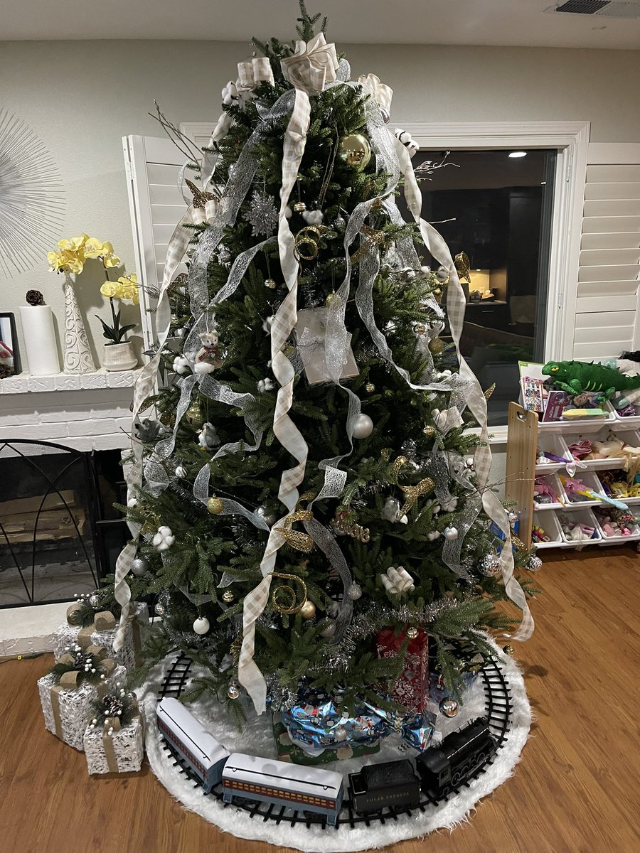 Almost everything Amazon for our tree!