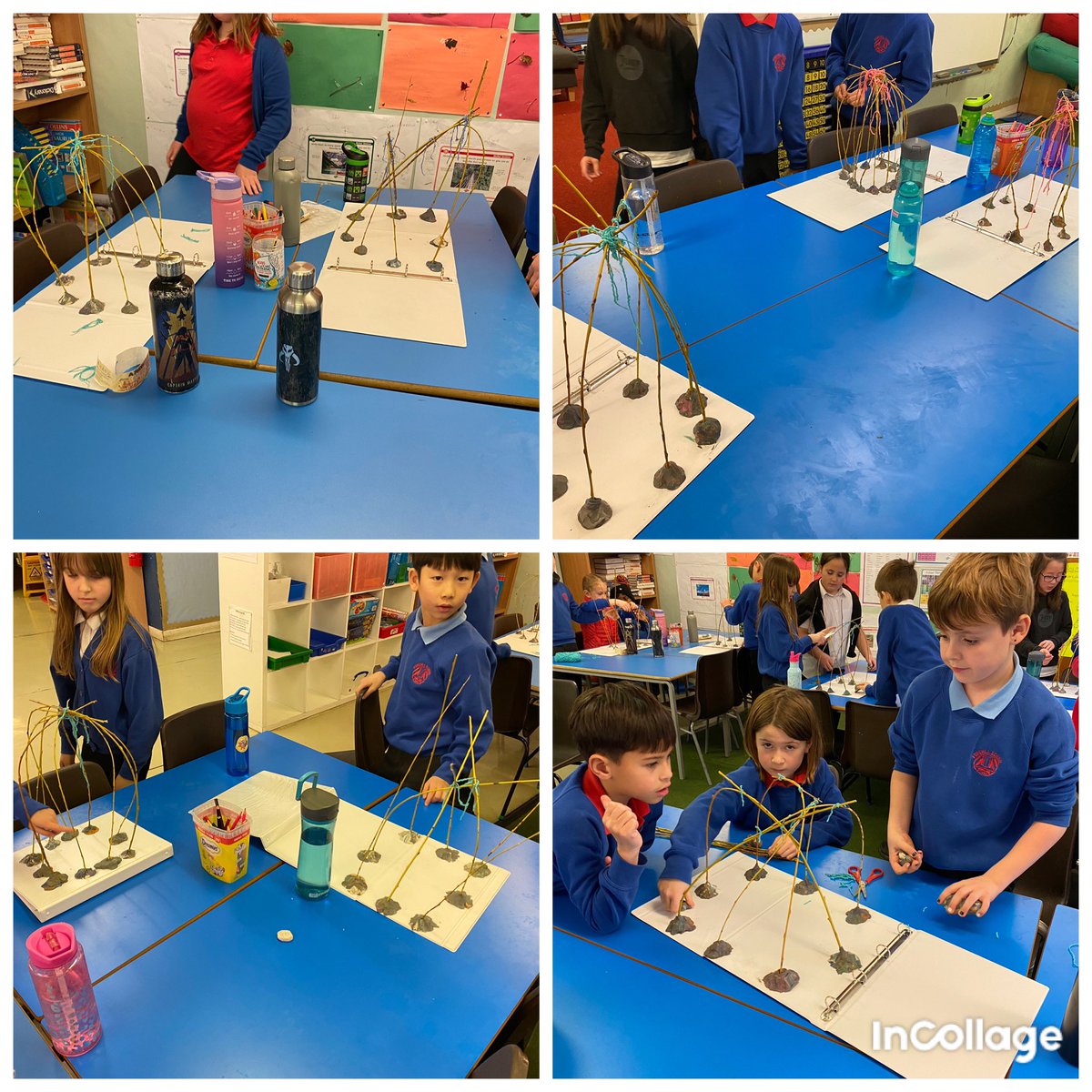 MrsR 👩‍🔬 P4 Teacher tweet media