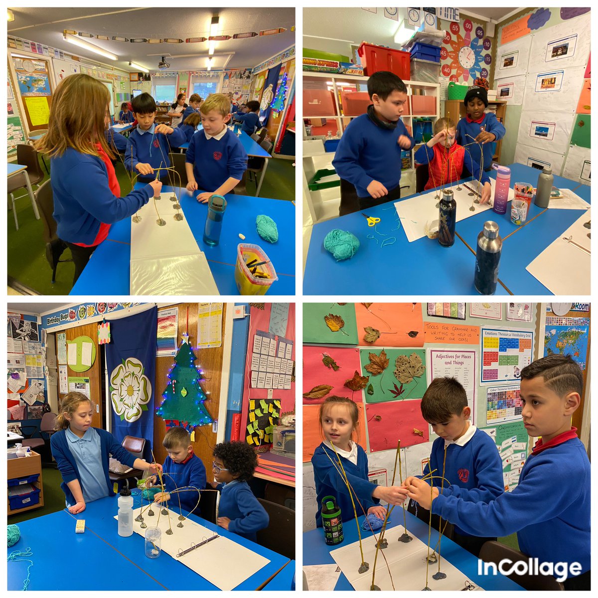 MrsR 👩‍🔬 P4 Teacher tweet media