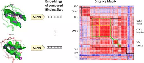 JCIM_JCTC's tweet image. Classification of Protein-Binding Sites Using a Spherical Convolutional #NeuralNetwork #cheminformatics 
pubs.acs.org/doi/10.1021/ac… 
@Drug_Design_UCL 
#current_issue #JCIM #MachineLearning #DeepLearning