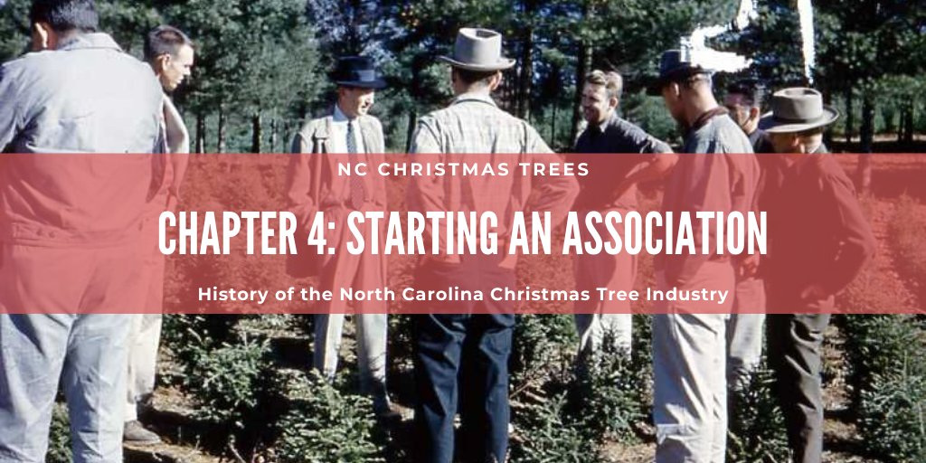 NCSUExtForestry's tweet photo. The NC Christmas Tree Association has a proud 60-year history of promoting the use of NC #farmgrown Christmas trees. Learn how this important association started in 1959 in Ch 4 of our “History of the North Carolina Christmas Tree Industry’ publication!
https://t.co/v1d7Uq8n4T https://t.co/bkSw53KJ3J