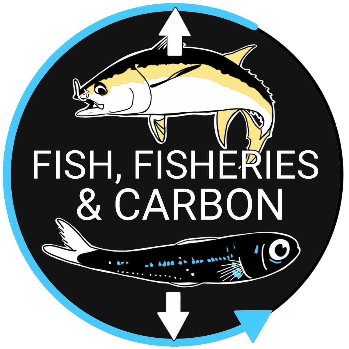 Ocean Carbon & Biogeochemistry (OCB) (@us_ocb) on Twitter photo Fish, Fisheries, and Carbon - 3-part international workshop - DATES: 6, 8, and 9 March 2023, register on the workshop website: us-ocb.org/fish-fisheries… Fantastic workshop logo by @fishbrains_!
Leaders: <a href="/GraceSaba11/">Grace Saba</a>, <a href="/emma_cavan/">Emma Cavan</a>, <a href="/DrRashidSumaila/">Rashid Sumaila</a>, Simeon Hill <a href="/BAS_News/">British Antarctic Survey 🐧</a> Fish, Fisheries, and Carbon - 3-part international workshop - DATES: 6, 8, and 9 March 2023, register on the workshop website: us-ocb.org/fish-fisheries… Fantastic workshop logo by @fishbrains_!
Leaders: <a href="/GraceSaba11/">Grace Saba</a>, <a href="/emma_cavan/">Emma Cavan</a>, <a href="/DrRashidSumaila/">Rashid Sumaila</a>, Simeon Hill <a href="/BAS_News/">British Antarctic Survey 🐧</a>