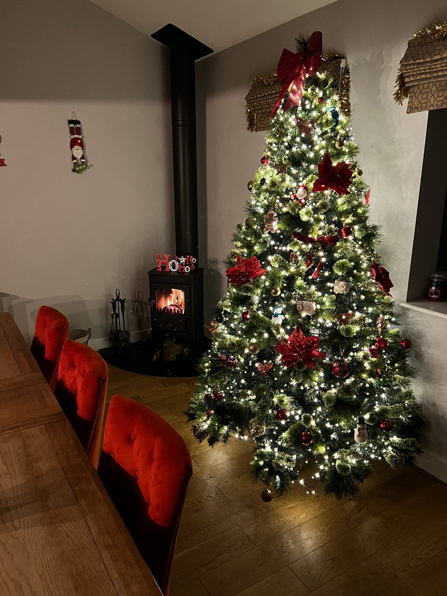 bryonyquinton's tweet photo. @emmakennytv Our tree this year 🎄❤️ https://t.co/OOGGentvBJ
