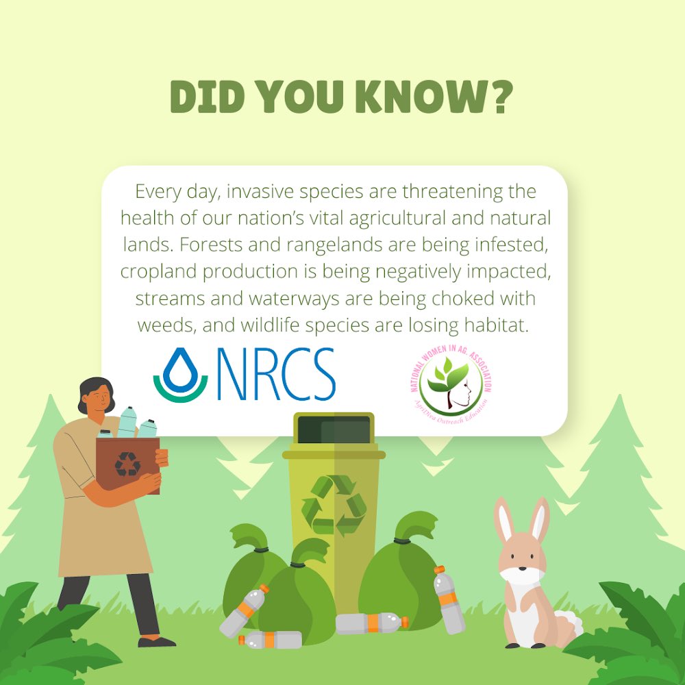 NWIAA's tweet photo. Happy Monday Ag Family‼️💚
NWIAA, second to none is back with the facts! 🗣It’s also another day In Ag to get a bag. 🌱
#agmonday
#agdaily
#ageducation
#usda
#fsa
#nrcs
#womeninag
#agridivas
#meninag
#agridreamers https://t.co/5OskdWBGZD