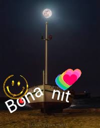 A tot@s 😴🌛💤🌛😴