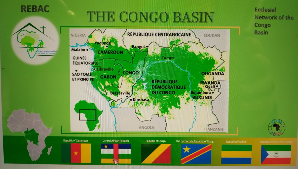 Today, @Misereor's partner Rigobert Minani SJ @rigomin of @rebaccongobass2 #REBAC Réseau Eccl. de Bassin do #Congo reported on the #COP27 & named challenges re the #Africa|n #rainforest. He networks with @repam_amazonia @RiverAbove_ @cardinal_jch @jesuitczerny @VaticanIHD @CIDSE