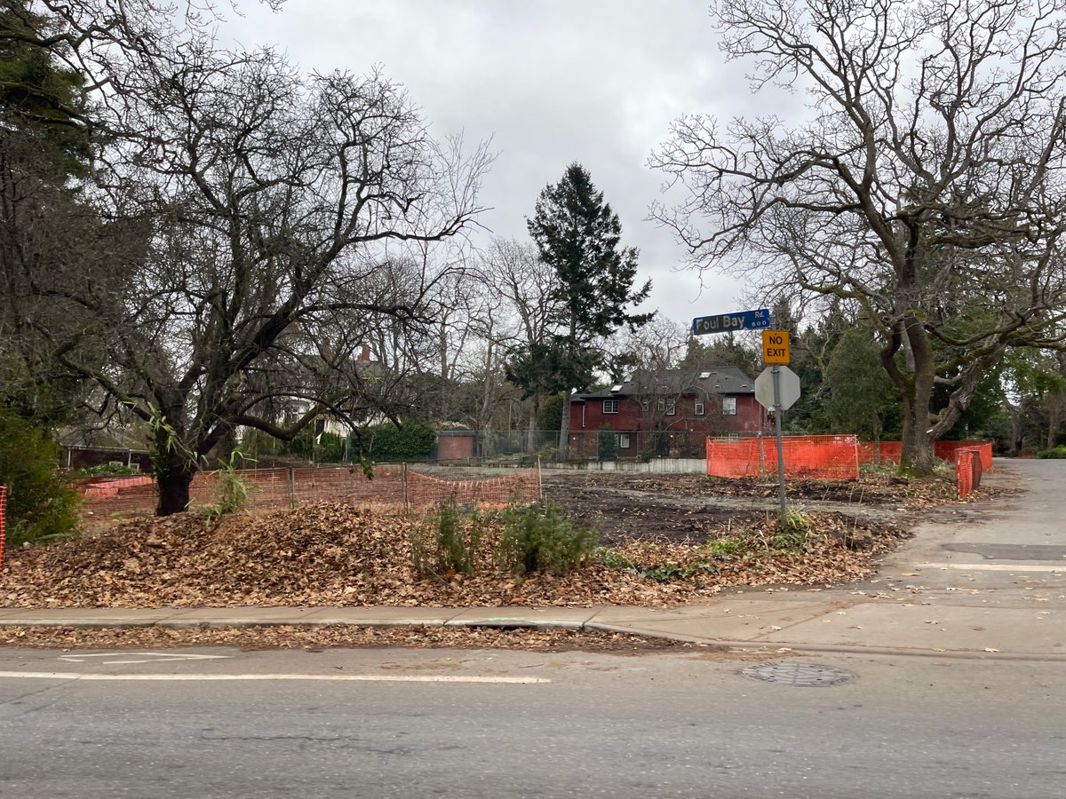 aryzedev's tweet photo. Look at all these trees lost because of that Missing Middle Housing Pol...<check notes> errrr.....its scorched earth for more single family homes. https://t.co/wuOgaeoTZV