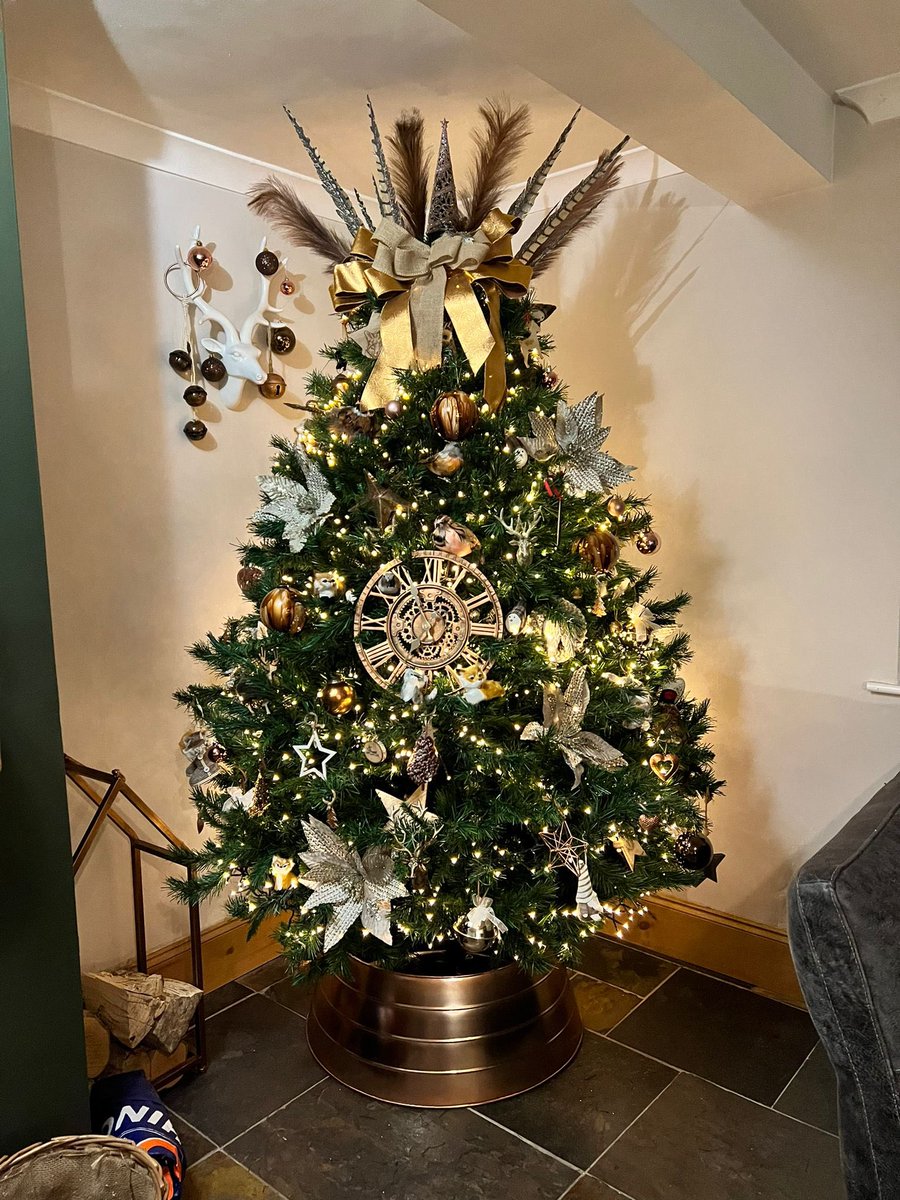 Suzi Owen-Wood tweet media