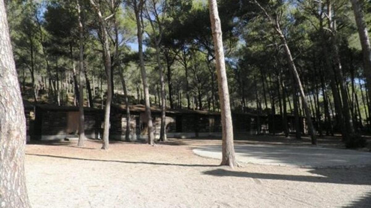 El Pi-Proposta per les Illes Balears tweet media