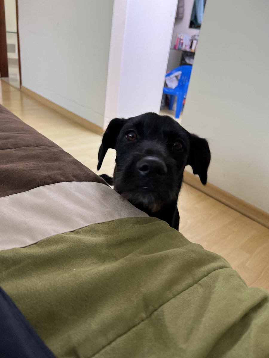 Que esta carita no me falte