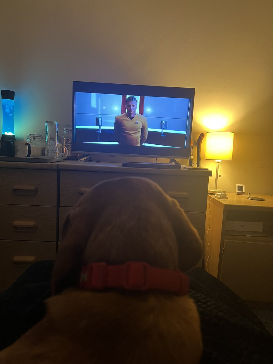 RalphasaurusRex's tweet photo. @StarTrek. Even #PrincessLeia is enjoying Strange New Worlds. #labrador #foxred #messlife #treky https://t.co/HblbQws93K