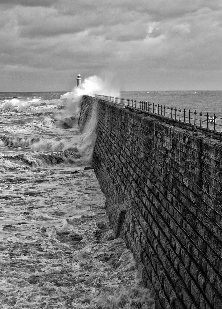literlandweb1's tweet photo. "La vida es una tormenta, mi joven amigo. Disfrutarás de la luz del sol en un momento, serás destrozado en las rocas al siguiente. Lo que te hace un hombre es lo que haces cuando llega la tormenta".
Alejandro Dumas https://t.co/MFotkxsoKm