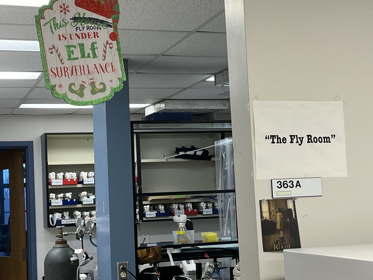 Brian Calvi (@briancalvi) on Twitter photo We are keeping a list of naughty and nice Drosophila researchers. <a href="/GCDB_IU/">Genome Cell and Developmental Biology</a> <a href="/GGSAatIU/">GGSA at IU</a> <a href="/IUBiology/">IU Biology</a> We are keeping a list of naughty and nice Drosophila researchers. <a href="/GCDB_IU/">Genome Cell and Developmental Biology</a> <a href="/GGSAatIU/">GGSA at IU</a> <a href="/IUBiology/">IU Biology</a>