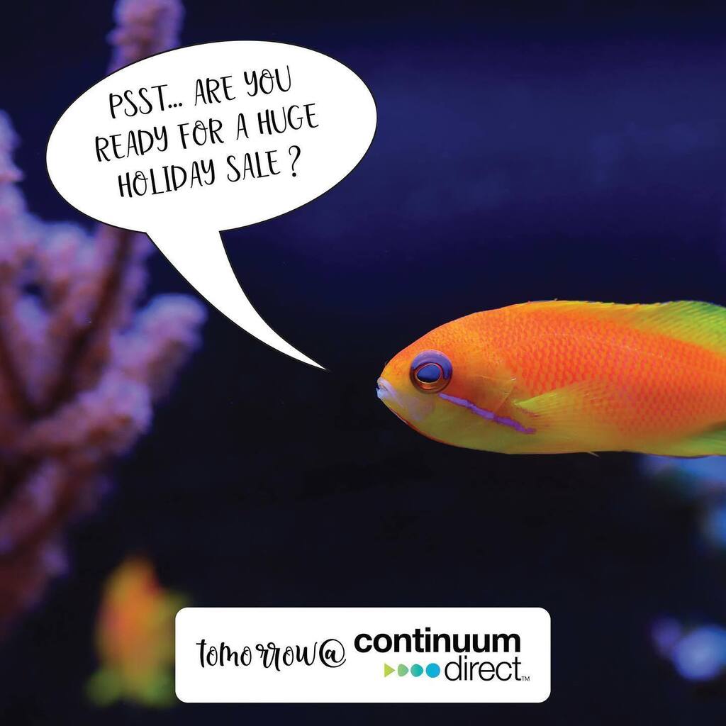 ContinuumAqua's tweet photo. You aren’t ready for this one! #continuumaquatics #brightwellaquatics #aquariumhobby #aquariumfish #aquariumlife #aquariumtank #shrimptank #freshwateraquarium #freshwatertanks https://t.co/hdyc1VkVy3 https://t.co/fwVHkMcQNg