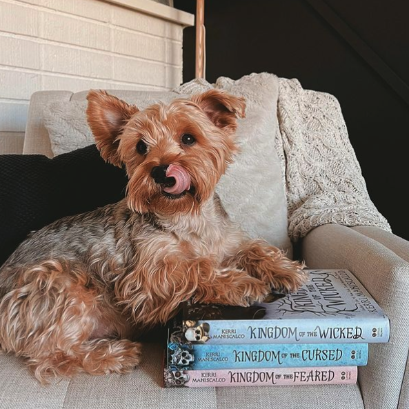 theNOVL's tweet photo. Ur dog has good taste. 
📸: @readbydev on IG
https://t.co/zengLgmeYd https://t.co/SLmYJ0mZ3M