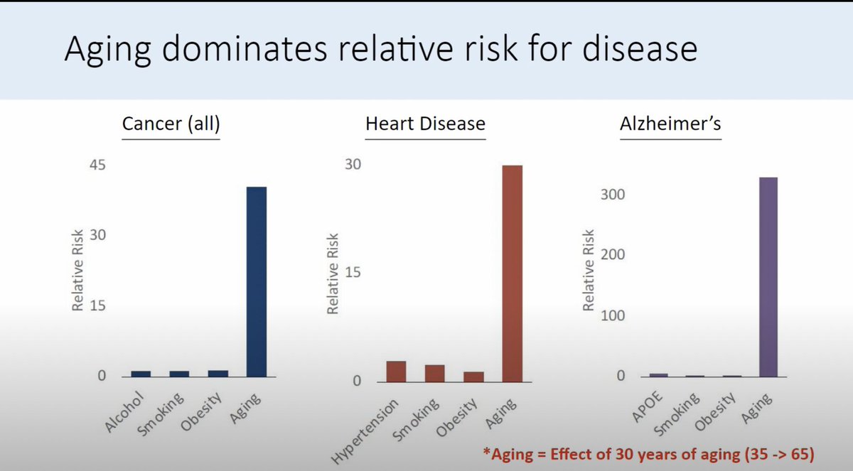 Robert Lufkin MD (@robertlufkinmd) on Twitter photo Aging is the single largest risk factor
for most chronic diseases.
That's why anti-aging strategies
can have such a large effect.
r/t <a href="/mkaeberlein/">Matt Kaeberlein</a> Aging is the single largest risk factor
for most chronic diseases.
That's why anti-aging strategies
can have such a large effect.
r/t <a href="/mkaeberlein/">Matt Kaeberlein</a>