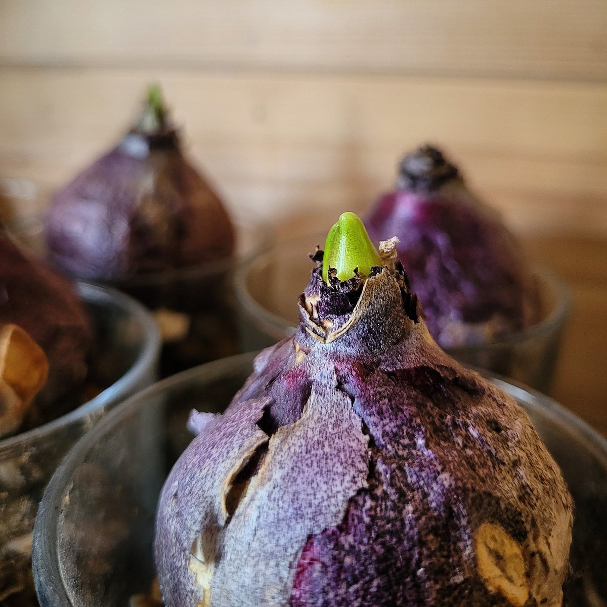 Brimwood Farm tweet media