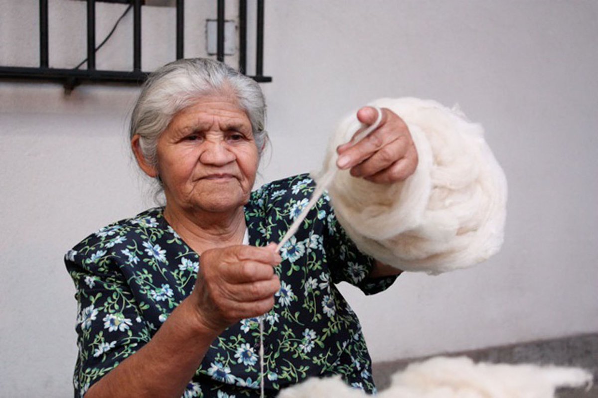 sebamawlen's tweet photo. 🌱 Lamentar el fallecimiento de la papay Wizufe Dominga Neculman Mariqueo, una destacada exponente de nuestro pueblo nación mapuche; artesana, ceramista y textilera. Considerada Tesoro Humano  Vivo 2011. 

Buen encuentro con los kuyfikecheyem lamngen Dominga https://t.co/zGncrbMB5j