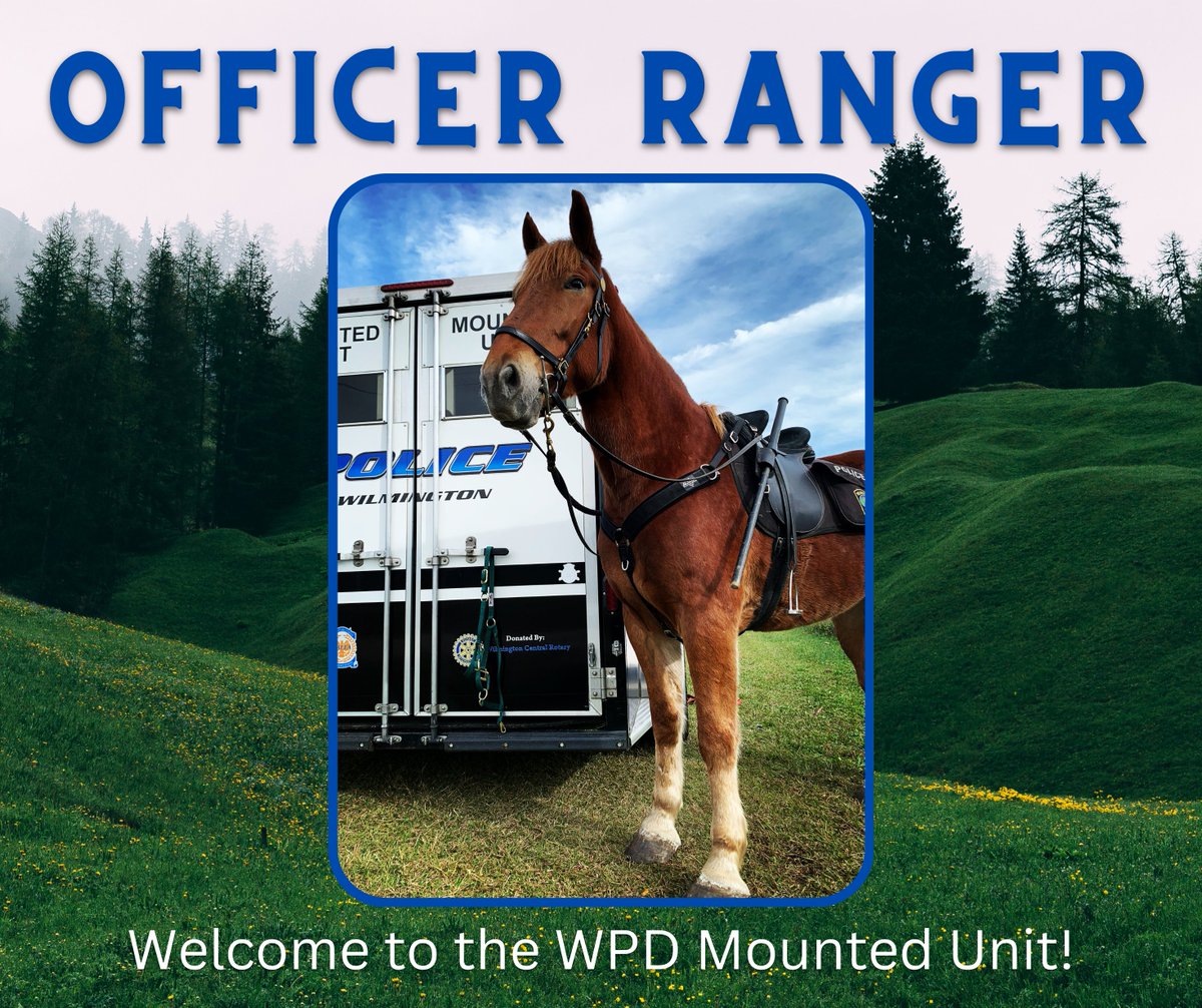 Wilmington, N.C. Police tweet media