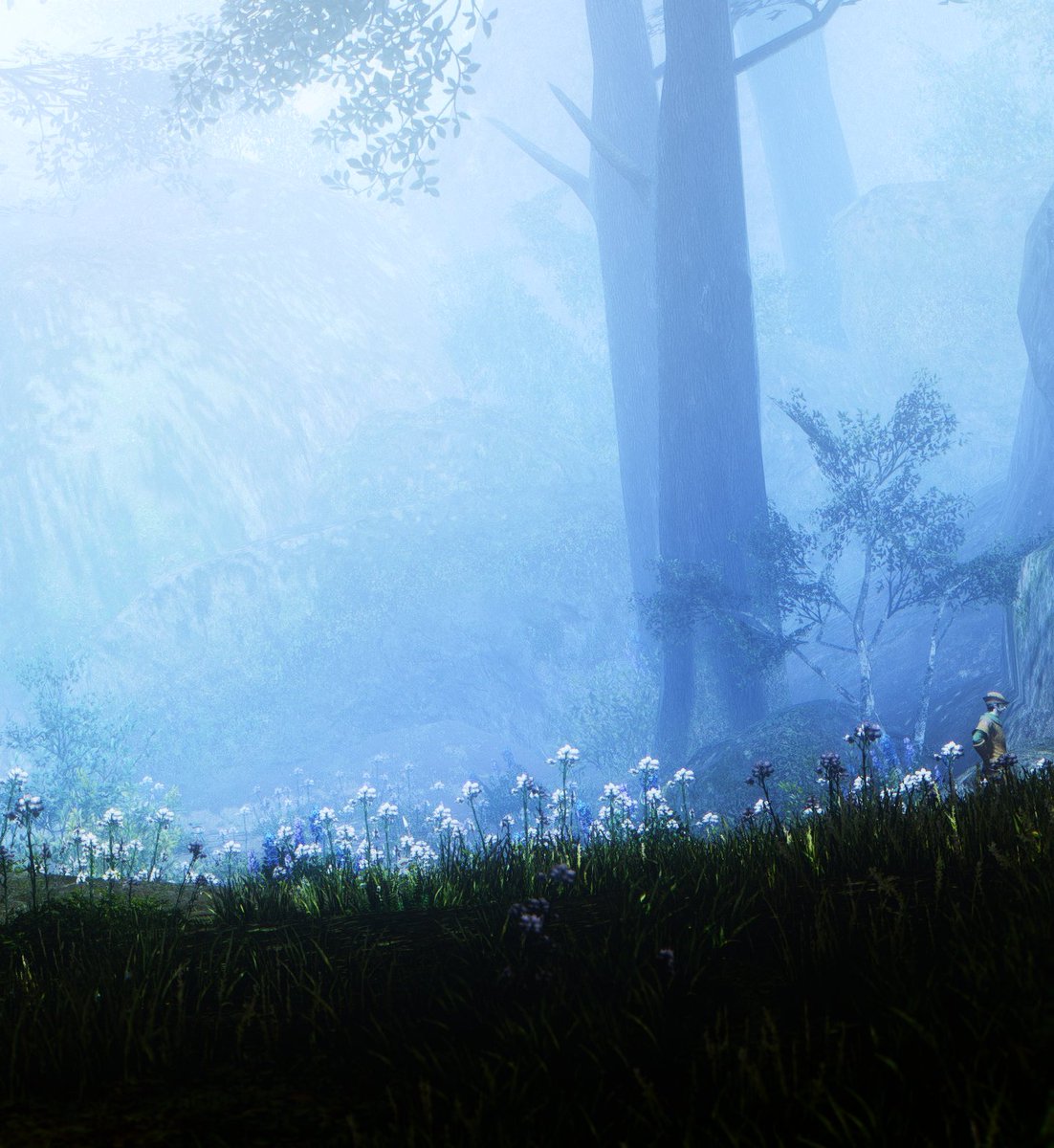 AestMirra's tweet photo. Misty day around the calming South Shroud.

#FF14 #FFXIV #FF14風景 #GPOSERS https://t.co/0FWokKuzRX