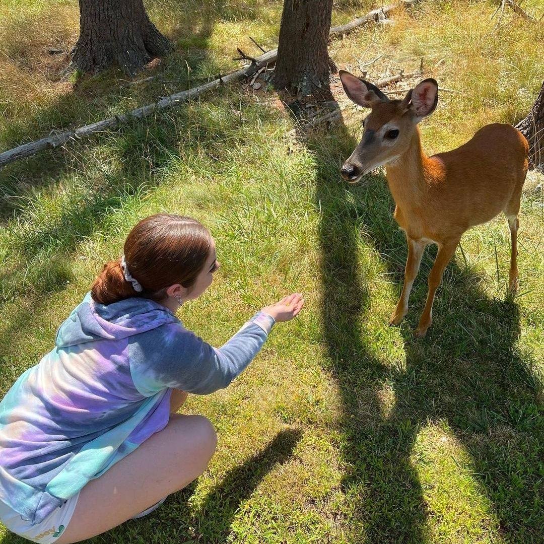 a_baylek's tweet photo. A beautiful creature 😍 ♥ ❤ https://t.co/LtVai9dMpM