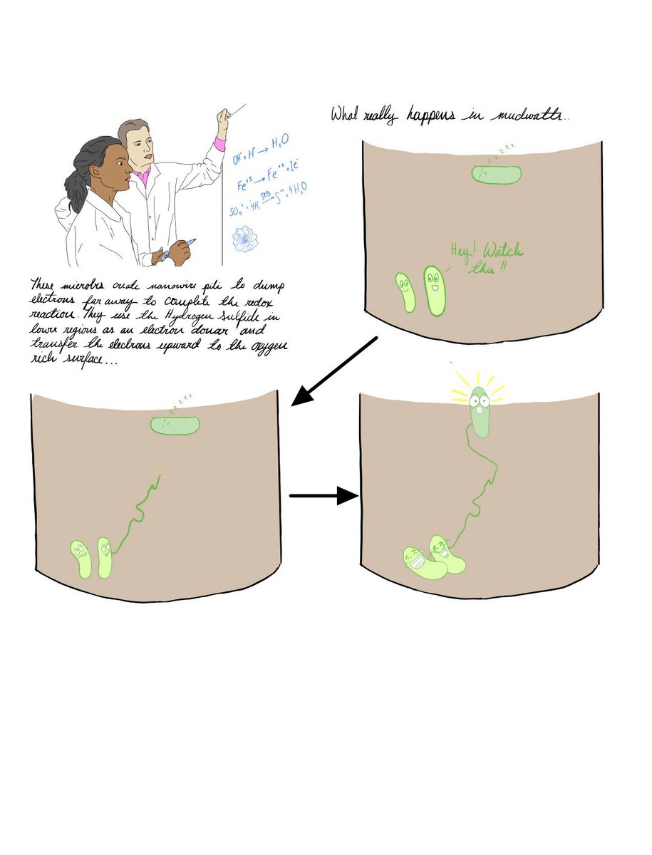markowenmartin's tweet photo. Some wonderful #CreativeExtraCredit projects by my #Bio350 #Micronauts over the years. Trust me, this engagement works. Creative approaches + science = better understanding. @univpugetsound @ASMicrobiology https://t.co/Qa6CcsAsFH