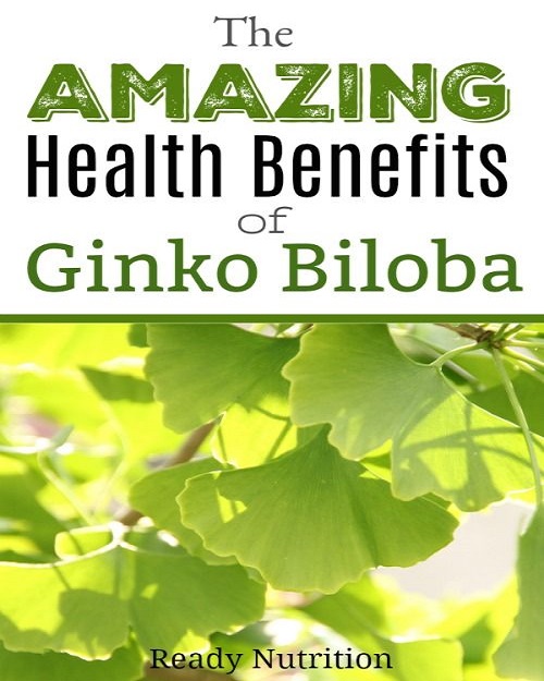 StephenPriceDC's tweet image. Do you know about the amazing benefits of Ginko Biloba? readynutrition.com/resources/the-… #readynutrition #ginkobiloba #bettercirculation #brainfood #improvememory #naturalsupplements #naturalremedies #drugfree