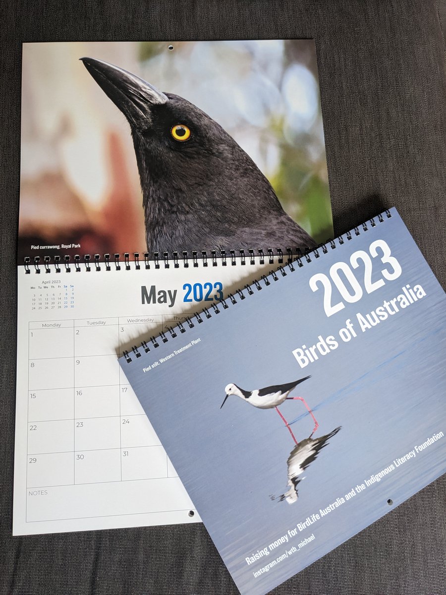 🚨🚨 Only a few weeks until Christmas 🚨🚨

🚨🚨 Only 1 box of calendars left in my lounge 🚨🚨

🚨🚨 Let's get these sold 🚨🚨

birdmichaelbirdcalendars.bigcartel.com