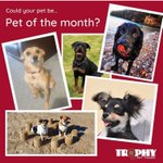 Photo by Trophy Pet Foods (@TrophyPet)