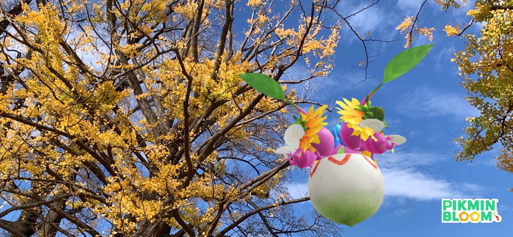 かのこ Pikminbloom Kanoko55pik Twitter