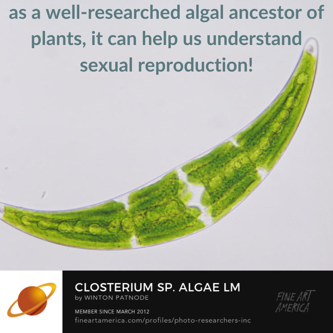 Community Science Institute tweet media