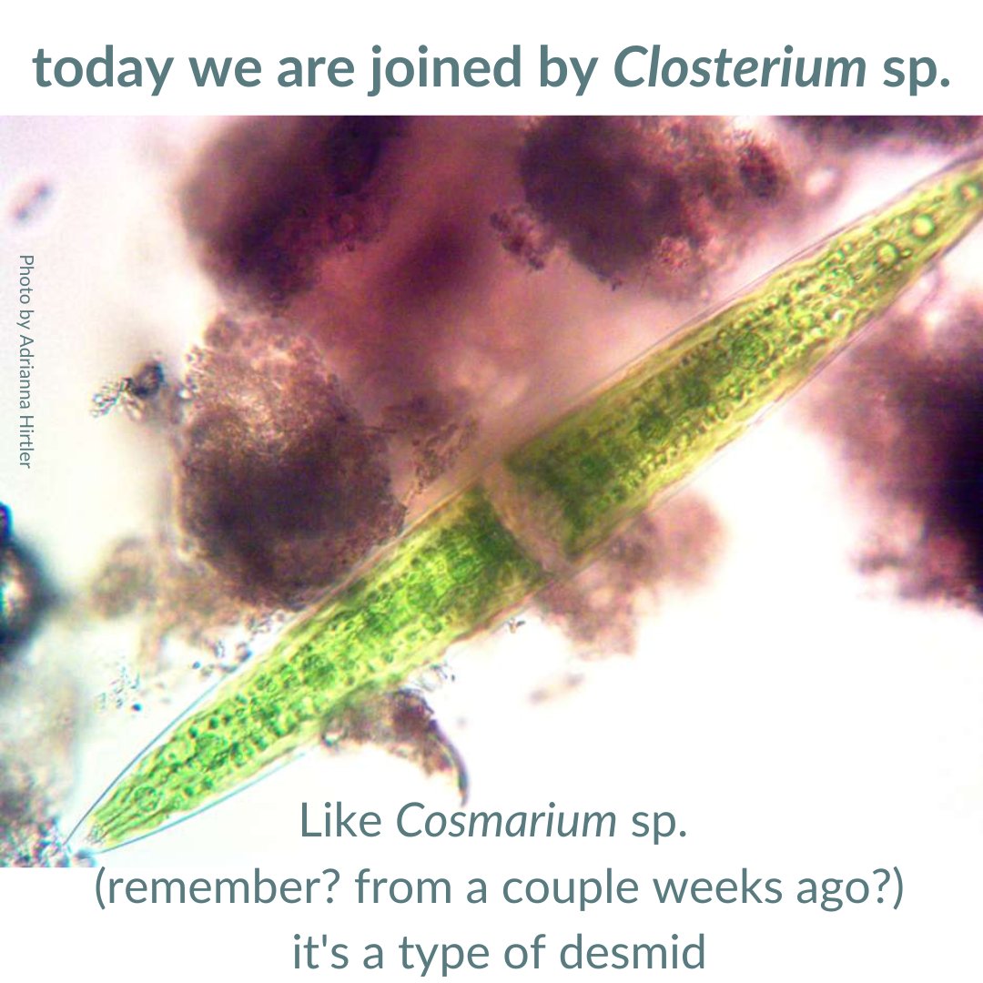 Community Science Institute tweet media