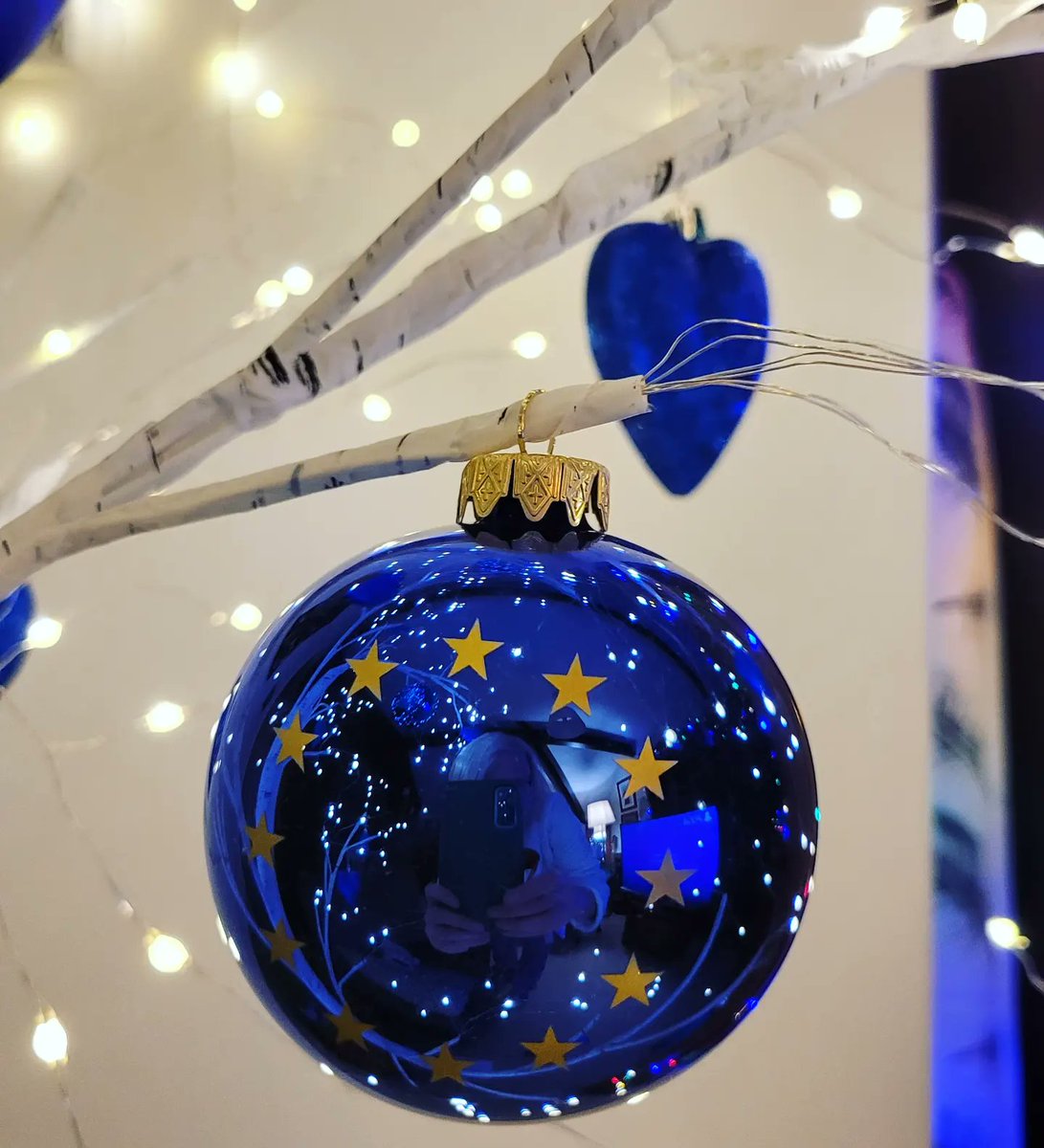 It's a blue Christmas chez moi! 
😊💙🎄🇪🇺 #BlueChristmas #TheFutureisEurope